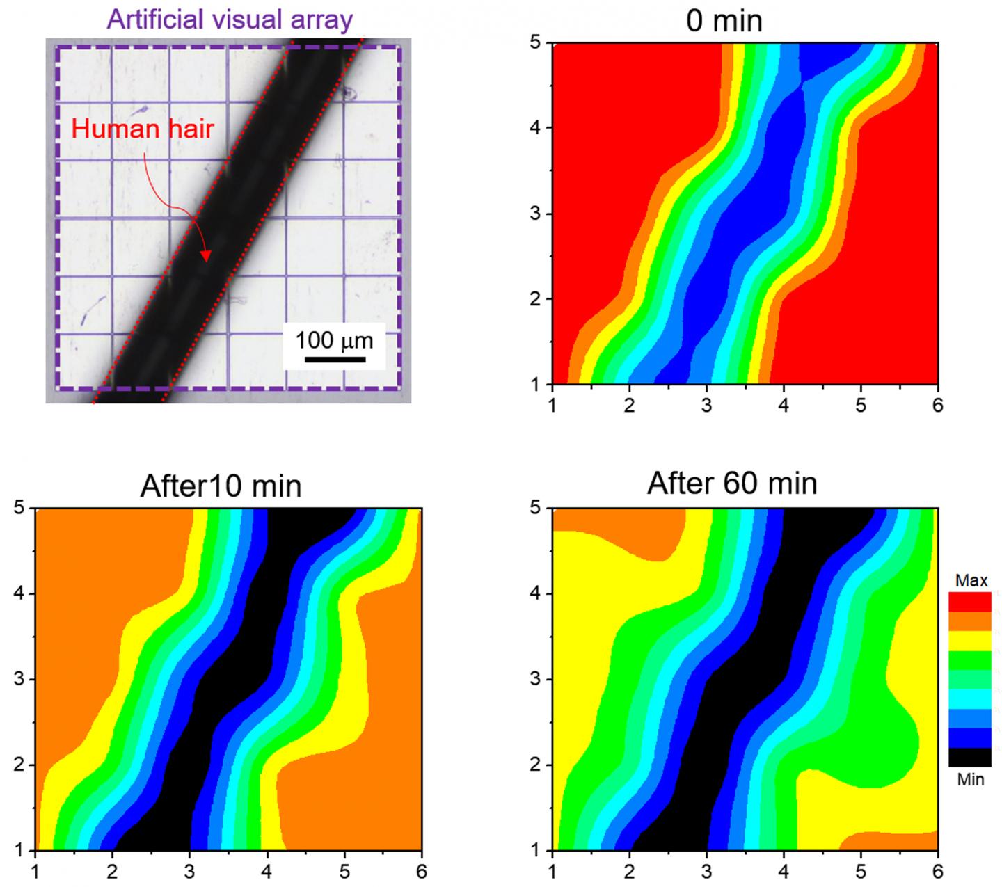 A combo of photo-detection and memory functions.