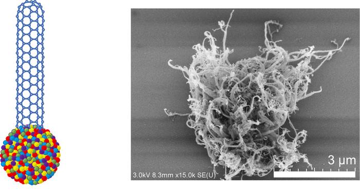 The model diagram and the image of a single-walled carbon nanotube