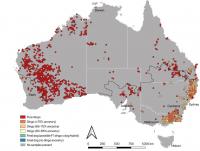 Map of Wild Canine DNA Samples across Australia