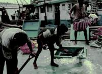 Modern Slavery Promotes Over-fishing (1 of 2)