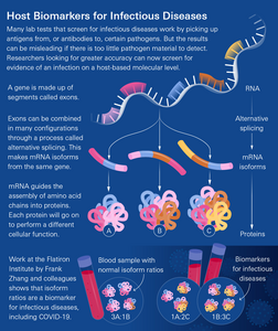 Infographic