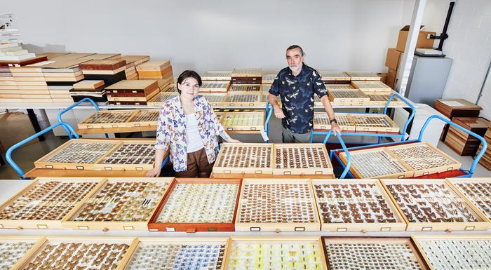 Specimens from the Natural History Museum