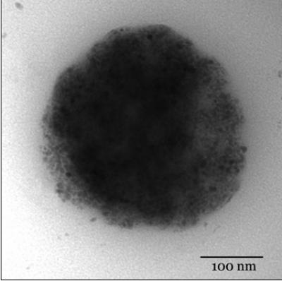 Magnetic Nanoparticle