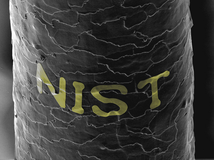 NIST printed on curved surface