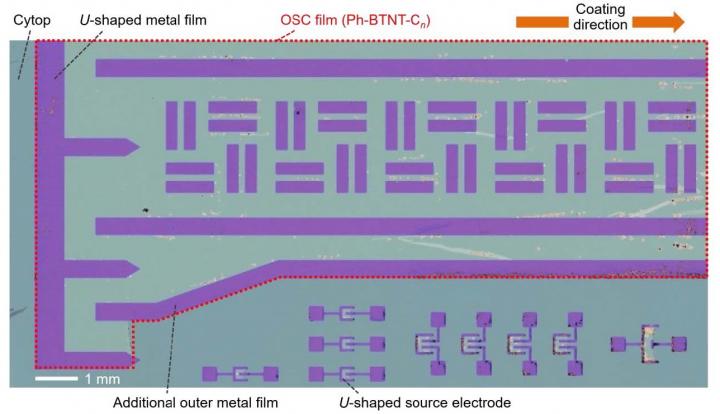 Printed Organic Transistors