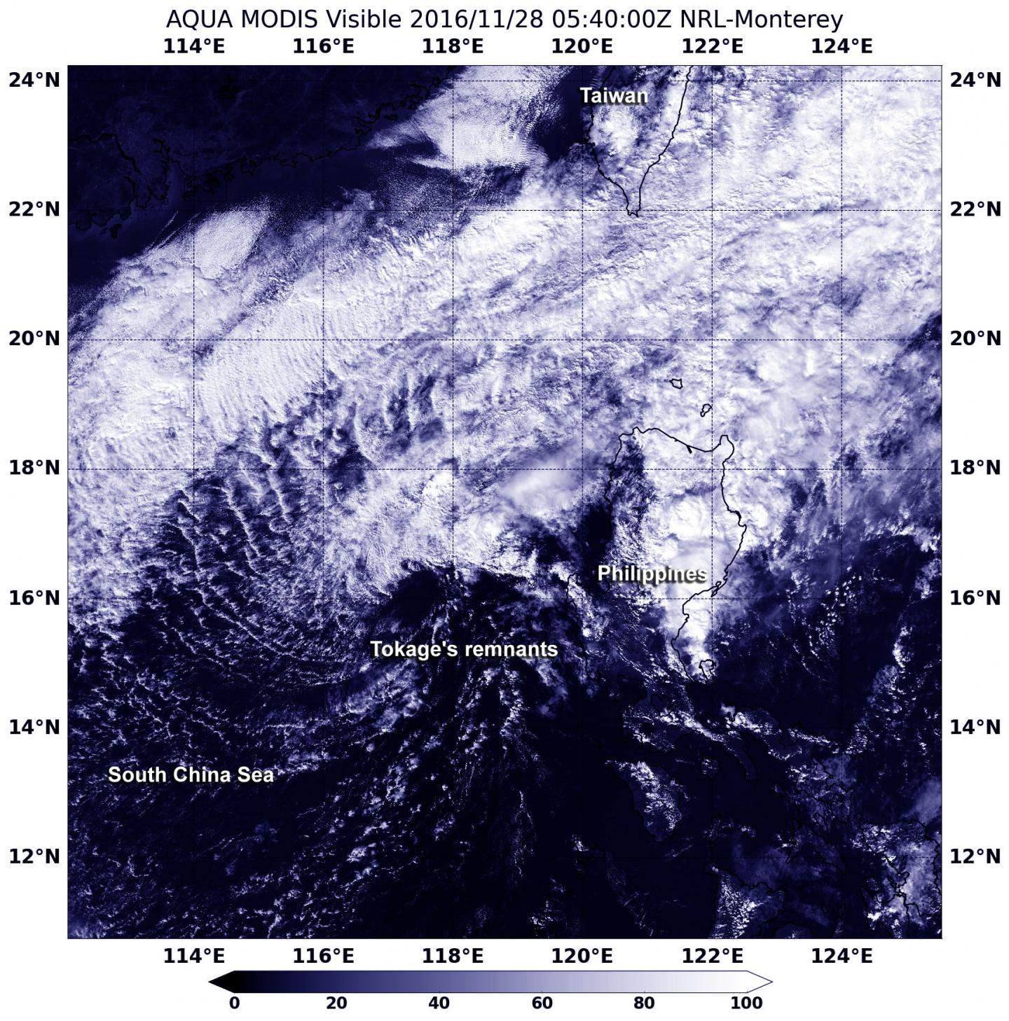 Aqua Image of Tokage