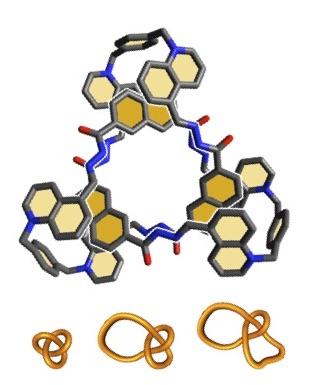 Molecular Knots