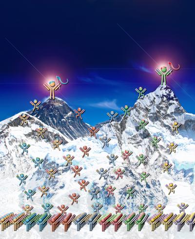 Functional Antibodies