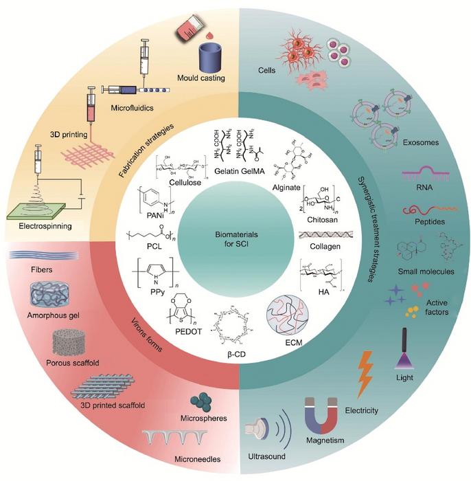 Biomaterials used in SCI repair.