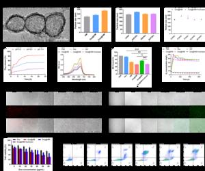 Fig. 2. Characterization of Oxa@HMI nanoparticles and evaluation of their in vitro activity and intracellular biological functions in tumor cells.