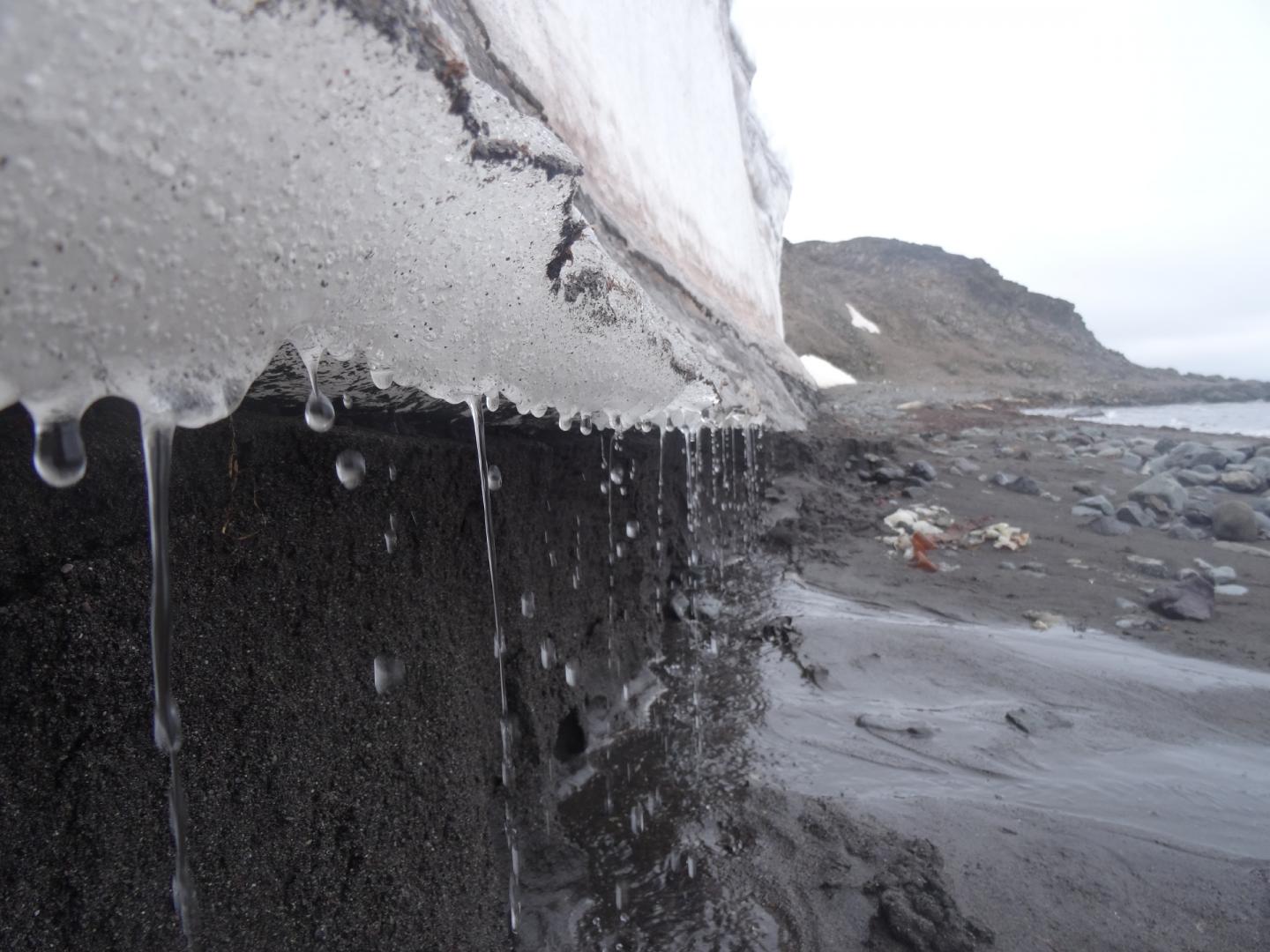 Melting Ice Near Dallmann Laboratory