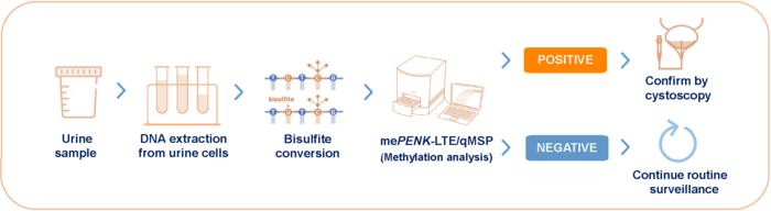 A schematic overview of the sample processing and mePENK-LTE/qMSP assay for detecting bladder cancer