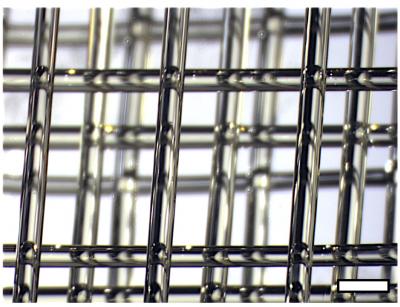 3-D Printed Sugar Template