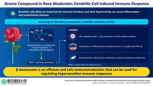 Immunomodulatory functions of β-damascone, a major component of rose fragrance