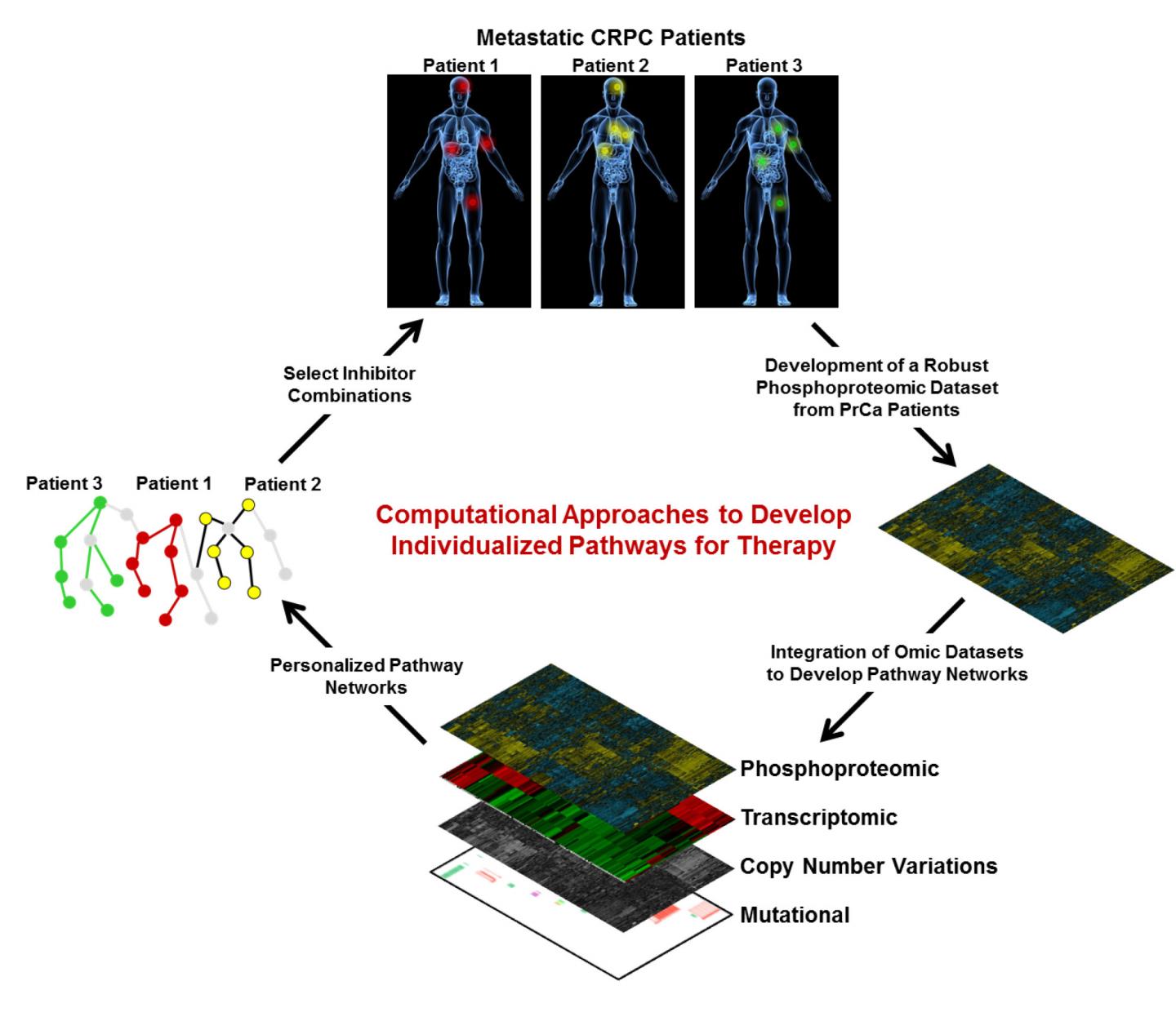 Graphical Abstract [IMAGE] | EurekAlert! Science News Releases