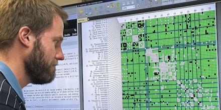 Researcher Studying Synchrony in Nature