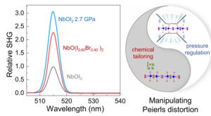 Physical pressure and chemical substitution on Peierls distortion and second-harmonic generation in NbOX2