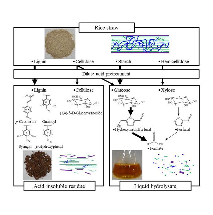 Flow of Rice Straw Components Following Pretreatment