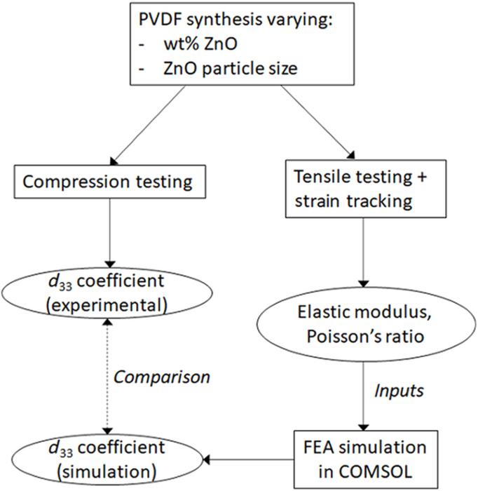 Flowchart detailing the experimental and computational design in this study.