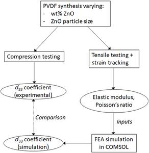 Flowchart detailing the experimental and computational design in this study.