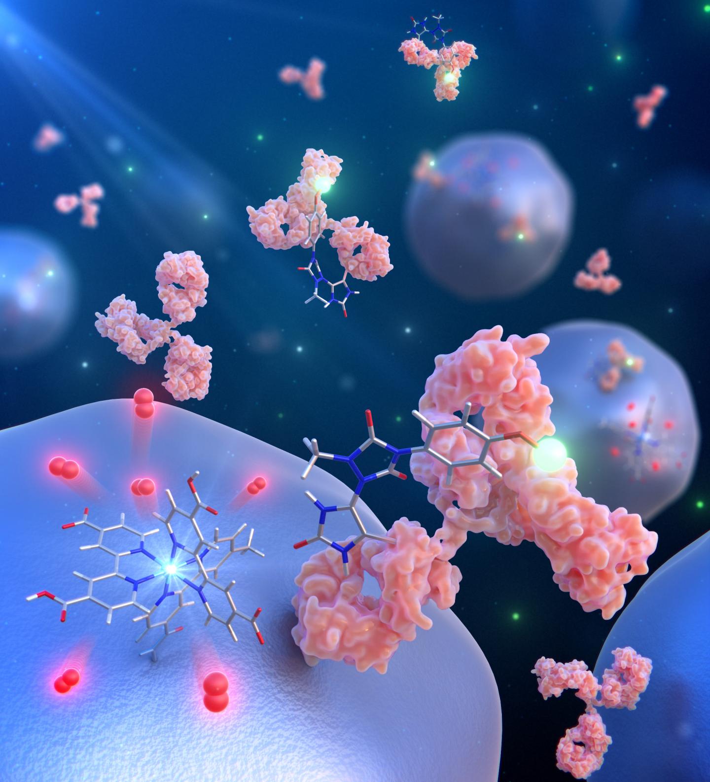 A Novel Nanometer-scale Proximity Labeling Method Targeting Histidine Residues