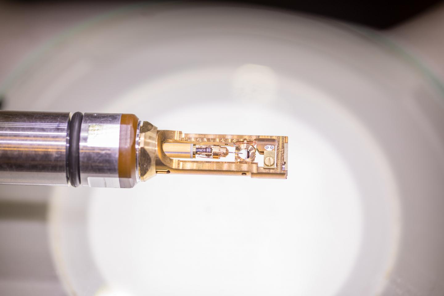 Sample Holder with a Nanoscale Electrical Probe