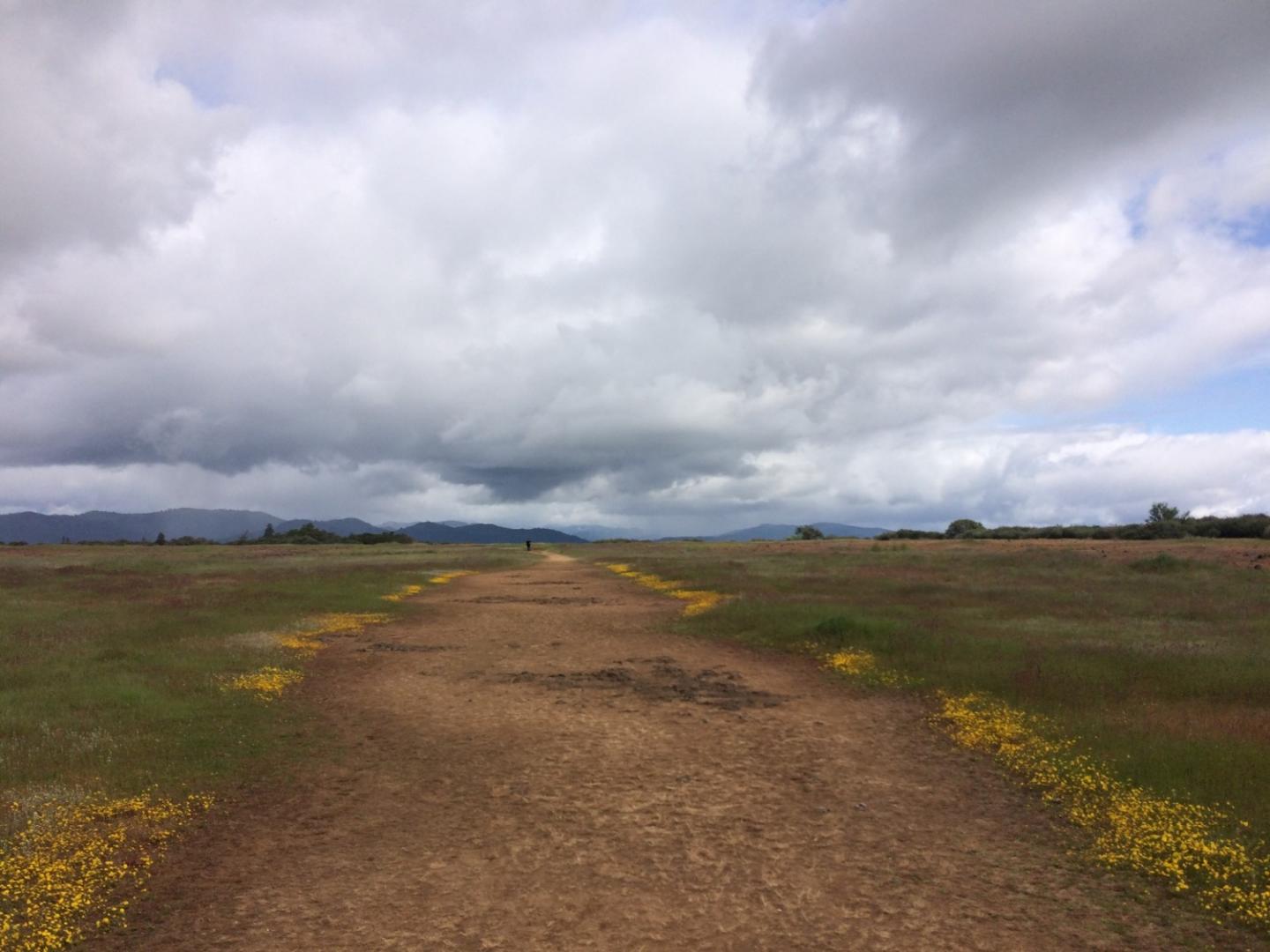 California Goldfields