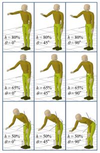 Average Posture