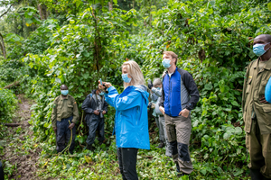 Masked tourists gorilla-watching