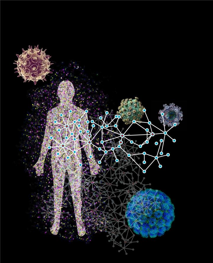 Mapping Protein-Protein Interactions in Viral Infection