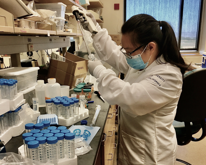 Emma Zhang in the lab at UC Davis