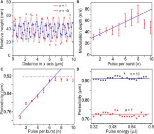 Fig. 3. (A) Heights of LIPSS along the x direction.  (B) Modulation depth and (C) periodicity of LIPSS versus PpB.  (D) Periodicity of LIPSS as a function of laser pulse energy.