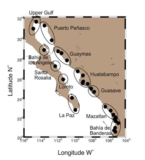 Gulf of California Fishing Areas