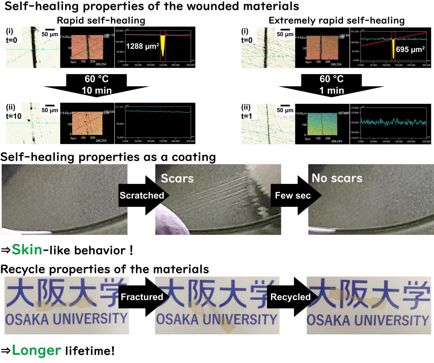 Fig.2