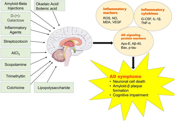 Various approaches and agents used in animal studies to induce AD