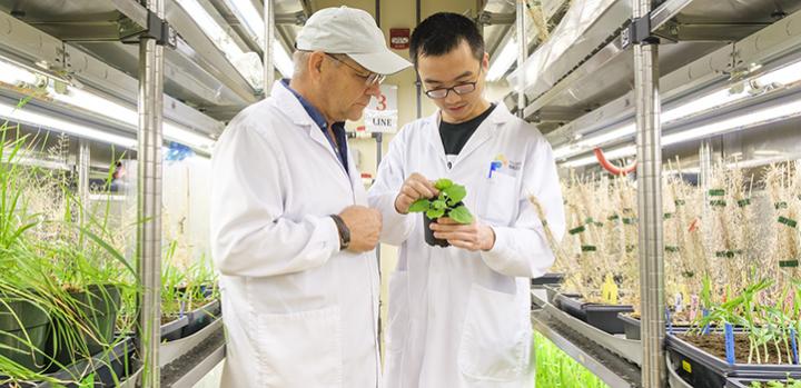 Hirt and Jiang with Plants