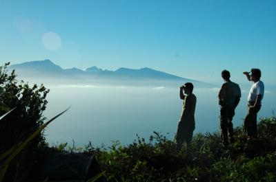 Botanists on Moorea