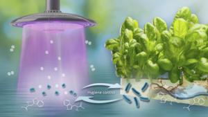 Low-Temperature Plasma used to remove E. coli - Vimarsana News