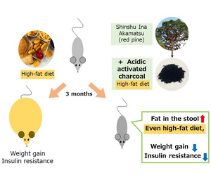 Acidic activated charcoal prevents weight gain and insulin