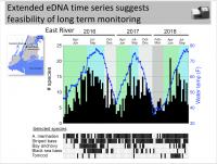 Extended eDNA Time Series Suggests Feasibility of Long Term Monitoring