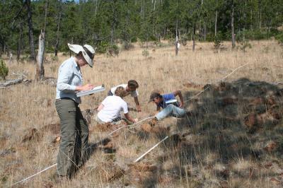 Low Elevations Hold Climate Surprises