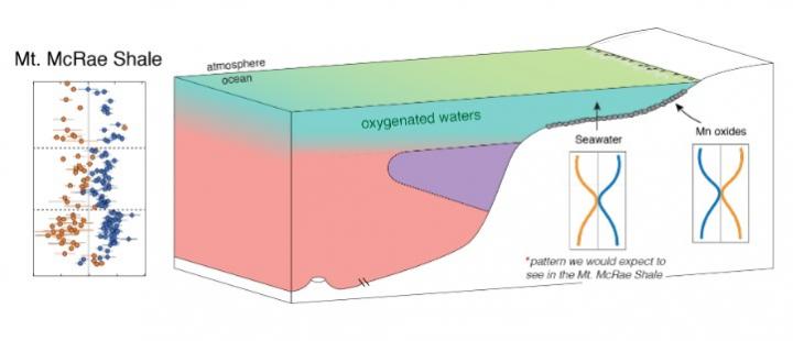 Analysis For Thallium And Molybdenum Isotope Compositions