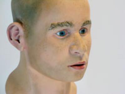 Reconstruction of an Ancient Human