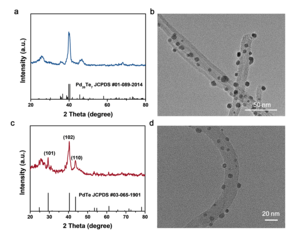 Morphology and characterization of unconventional phase-controlled Pd-Te/CNT