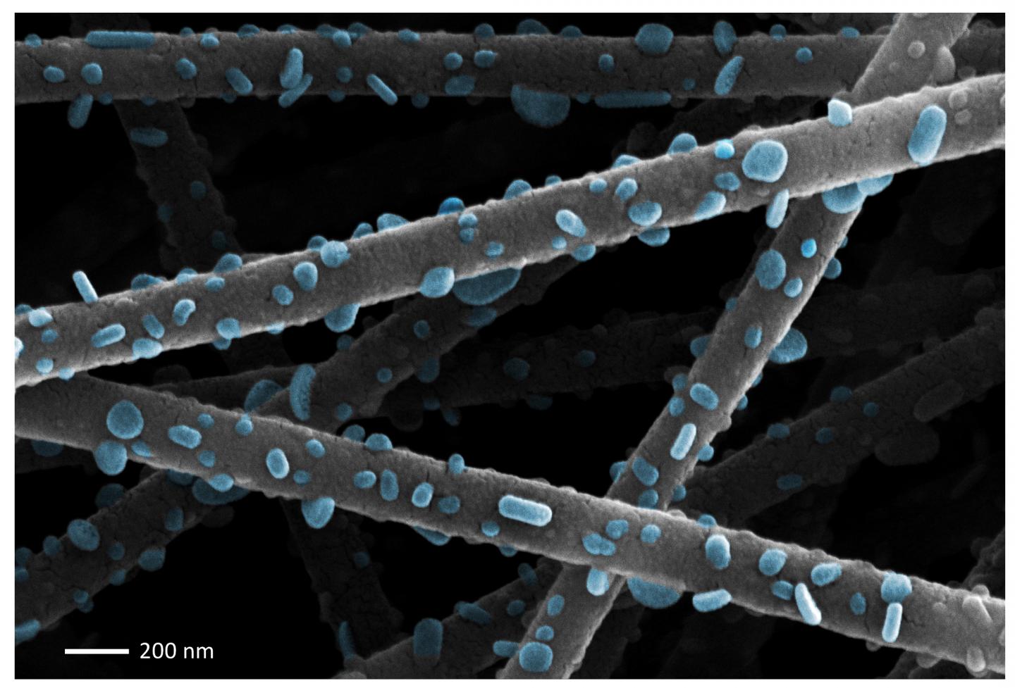 Nanoparticles on a Fuel Cell Surface