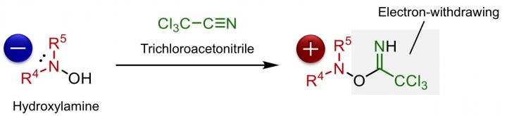 Activation of Hydroxylamines by Trichloroacetonitrile