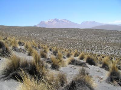 Dryland Site in Peru