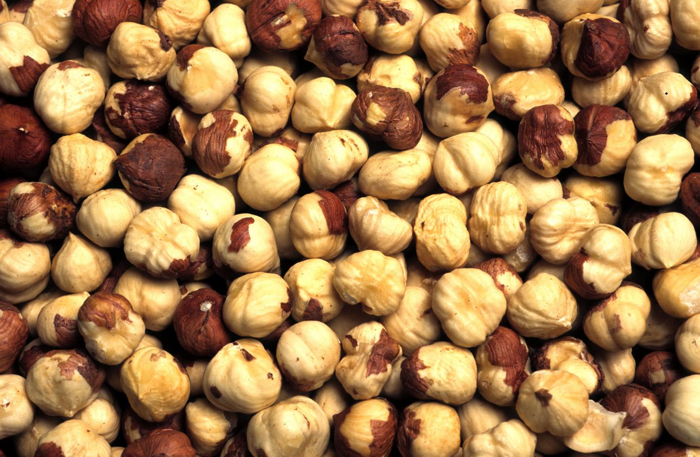 Hazelnuts
