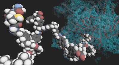 Peptides From a Robotic Riboso [IMAGE] | EurekAlert! Science News Releases