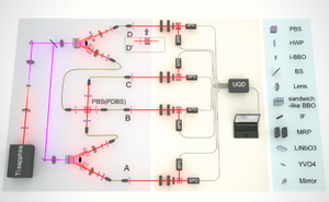 Certification of Genuine Multipartite Entanglement with General and Robust Device-Independent Witnesses